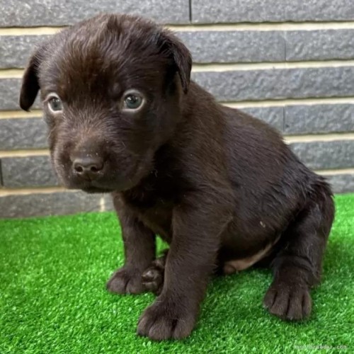 uh[go[̎qiID:1262711112j1ڂ̎ʐ^/XV:2025-11-19