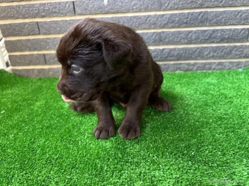 uh[go[̎qiID:1262711112j3ڂ̎ʐ^/XV:2025-11-19