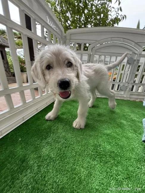 �~�b�N�X�̎q���iID:1262711113�j��4���ڂ̎ʐ^/�X�V��:2026-01-16