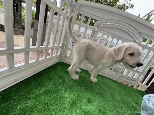 �~�b�N�X�̎q���iID:1262711113�j��5���ڂ̎ʐ^/�X�V��:2026-01-16