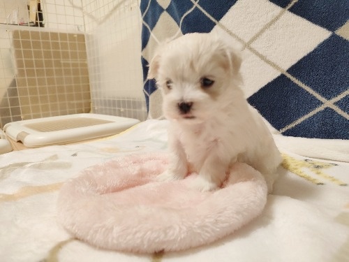 }`[Y̎qiID:1275211080j3ڂ̎ʐ^/XV:2025-11-23