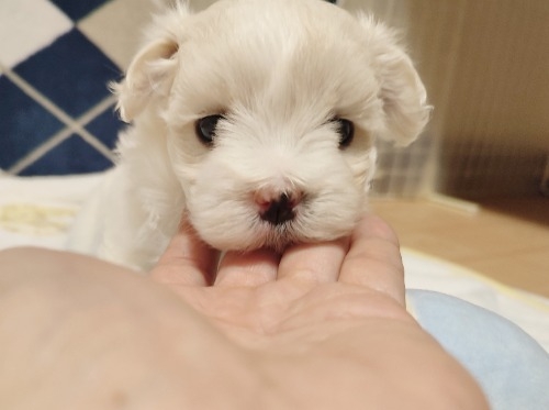 }`[Y̎qiID:1275211081j1ڂ̎ʐ^/XV:2025-11-24