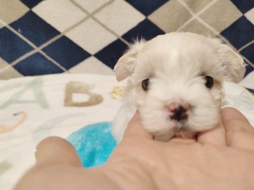 }`[Y̎qiID:1275211081j3ڂ̎ʐ^/XV:2025-11-24