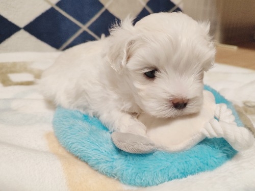 }`[Y̎qiID:1275211082j1ڂ̎ʐ^/XV:2025-11-24