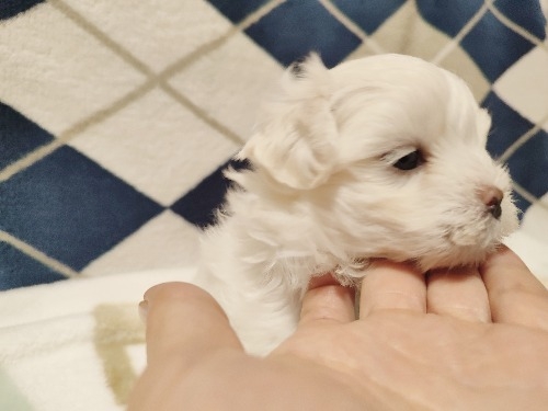 }`[Y̎qiID:1275211082j3ڂ̎ʐ^/XV:2025-11-24