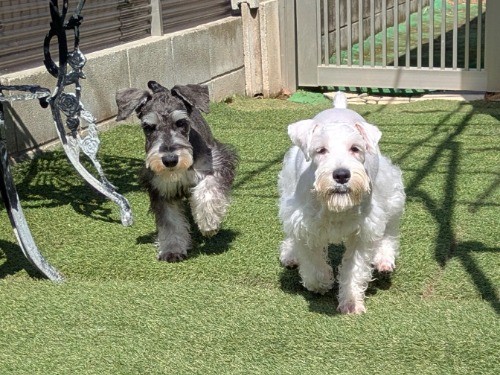 �~�j�`���A�V���i�E�U�[�̎q���iID:1275711098�j��6���ڂ̎ʐ^/�X�V��:2026-03-12