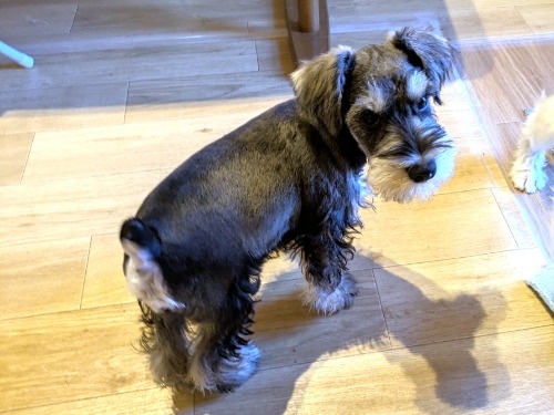 �~�j�`���A�V���i�E�U�[�̎q���iID:1275711099�j��6���ڂ̎ʐ^/�X�V��:2026-02-05