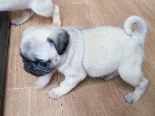 �p�O�̎q���iID:1275711102�j��5���ڂ̎ʐ^/�X�V��:2026-01-03