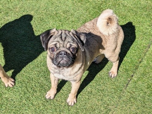 �p�O�̎q���iID:1275711106�j��2���ڂ̎ʐ^/�X�V��:2026-03-12