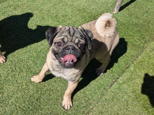 �p�O�̎q���iID:1275711106�j��4���ڂ̎ʐ^/�X�V��:2026-03-12