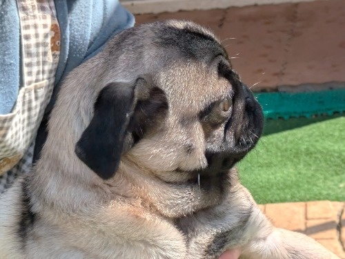 �p�O�̎q���iID:1275711106�j��5���ڂ̎ʐ^/�X�V��:2026-03-12