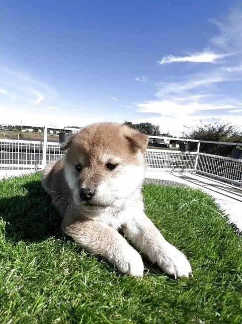 Č̎qiID:1277211159j3ڂ̎ʐ^/XV:2025-11-18