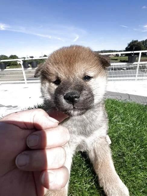 Č̎qiID:1277211160j2ڂ̎ʐ^/XV:2025-11-18