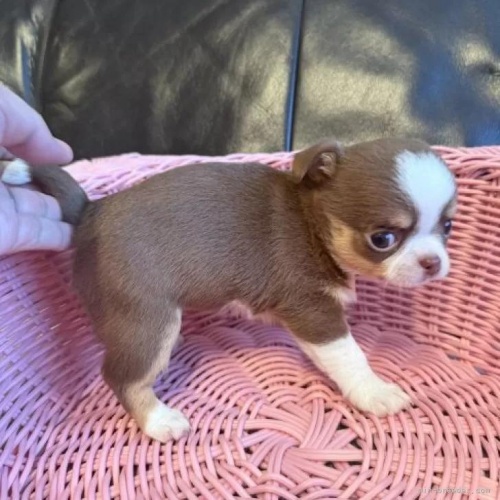 �`�����i�����O�j�̎q���iID:1279311042�j��2���ڂ̎ʐ^/�X�V��:2026-01-14