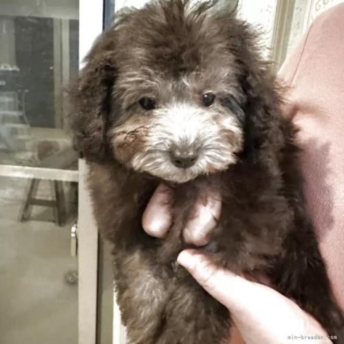 �g�C�v�[�h���̎q���iID:1280711027�j��1���ڂ̎ʐ^/�X�V��:2026-01-12