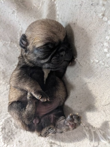 �p�O�̎q���iID:1284211045�j��2���ڂ̎ʐ^/�X�V��:2026-01-10