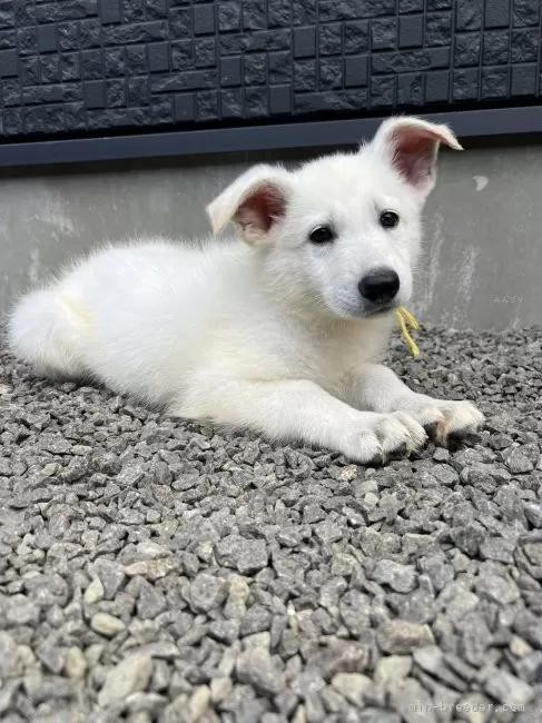 zCgEVFp[h̎qiID:1288311055j2ڂ̎ʐ^/XV:2025-10-22