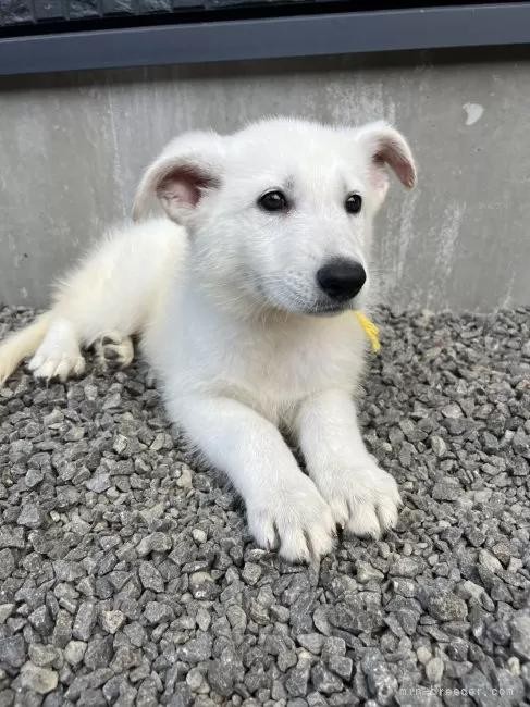 zCgEVFp[h̎qiID:1288311055j3ڂ̎ʐ^/XV:2025-10-22