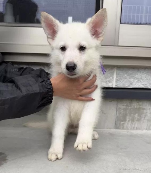 zCgEVFp[h̎qiID:1288311056j2ڂ̎ʐ^/XV:2025-10-22