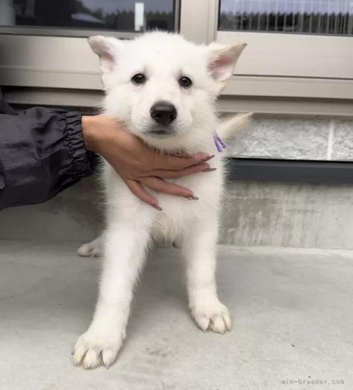 zCgEVFp[h̎qiID:1288311056j3ڂ̎ʐ^/XV:2025-10-22