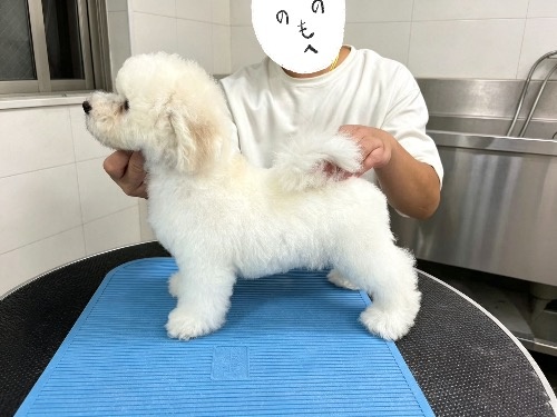 �r�V�����t���[�[�̎q���iID:1291811002�j��4���ڂ̎ʐ^/�X�V��:2026-09-19